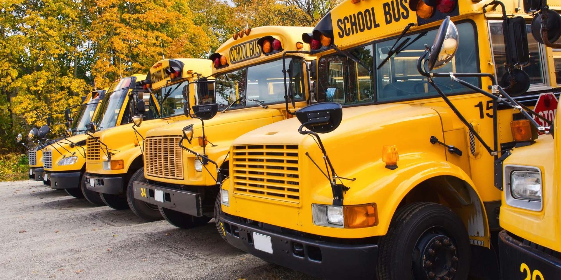 A row of school buses parked in the parking lot.